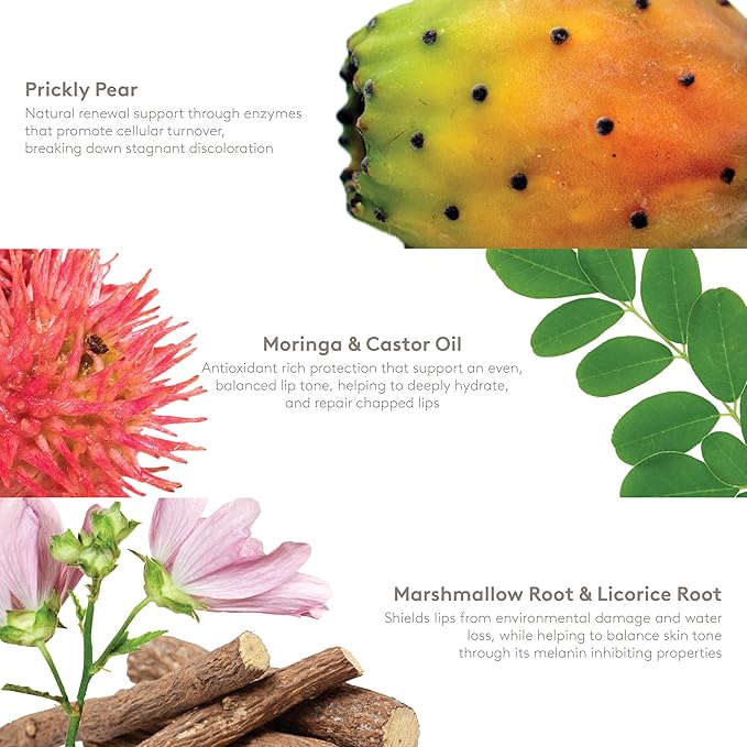 S'ABLE Labs - Moringa Lip Salve | Deeply Moisturize, Soften, Improve Lip Appearance | Prickly Pear + Castor Oil | Melanin-Inclusive Skincare (15 mL | 0.5 fl oz)