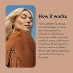 hers Full Volume Shampoo, 2 Pack - Volumizing Shampoo for Women with Biotin - Adds Lightweight Volume, Shine & Bounce - Coastal Cedar Citron - 2 x 6.4 fl oz