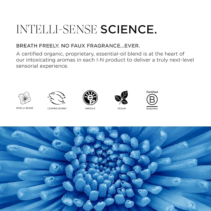 Intelligent Nutrients Amplifi-hair Style & Restyler Spray, Volume Boost and Texture Styling for All Hair Types, Vegan, 5 Oz