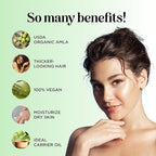 Organic Amla Oil for Hair - 100% Pure Amla Hair Oil for Volume Shine & Hydration - Cold-Pressed Extra Virgin Unrefined Non-GMO & USDA Organic for Nourishing Moisturizing Scalp Care (4 Fl Oz)