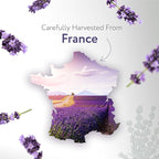 HBNO Lavender Dutch Oil - 16 oz (475 ml) Large Size - Ideal for Shampoos, Conditioners, Mouth Washes, Face wash, Lotions, and Skin Care Products (Glass Bottle).