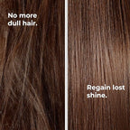 Argan Conditioner - Nourishing & Revitalizing Conditioner for Treated & Dry Hair - 13.53 fl oz (400mL)