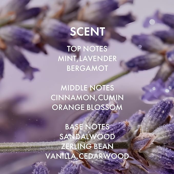 ALFHEIM Lavender+ Purple Shampoo for Blonde, Silver & Color-Treated Hair – Neutralizes Brass & Yellow Tones, Brightens Cool Shades – with Quinoa Extract & Vitamin E – Sulfate Free – 18 oz