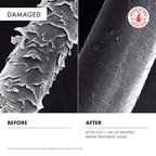 ALFHEIM Rosemary+ Purifying Hair Mask – Deep Hydrating & Balancing Treatment for Oily & Fine Hair with Rosemary, Peppermint & Jojoba Oils – Strengthens, Smooths & Refreshes – Sulfate Free – 8.45 oz