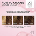 L'Oreal Paris Excellence Crème Permanent Hair Dye, Triple Care Hair Color with Pro-Keratine Complex for 100% Gray Hair Coverage, 5G Medium Golden Brown, 1 Kit