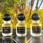 FEARLESS ELIXIR, Vanilla Body Oil, Citrus Floral Fragrance, Beyond Pheromones Perfumes for Women That Captivate Naturally .68 Fl Oz