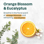 ATTITUDE Volume and Shine Hair Shampoo, EWG Verified, For Thin Hair, Naturally Derived Ingredients, Vegan, Plant Based, Soy Protein & Cranberries, 8 Fl Oz