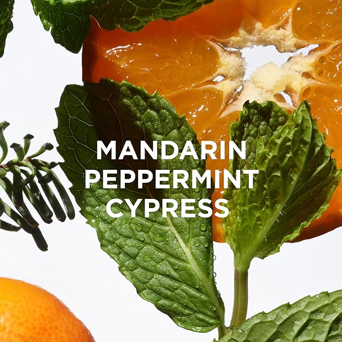 By Rosie Jane Chill Body Milk Skin Care - Milk Toner to Help Tone, Tighten and Hydrate Skin - Body Care Made with Peppermint, Mandarin & Cypress - Helps Promote Anti-Aging & Boost Radiance (250ml)