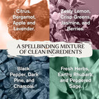 Every Man Jack Harry Potter Collectors Body Wash Gift Set - Includes 4 Body Washes with Clean Ingredients & Hogwarts Inspired Scents - Forbidden Forest, Charms, Herbology, Potions