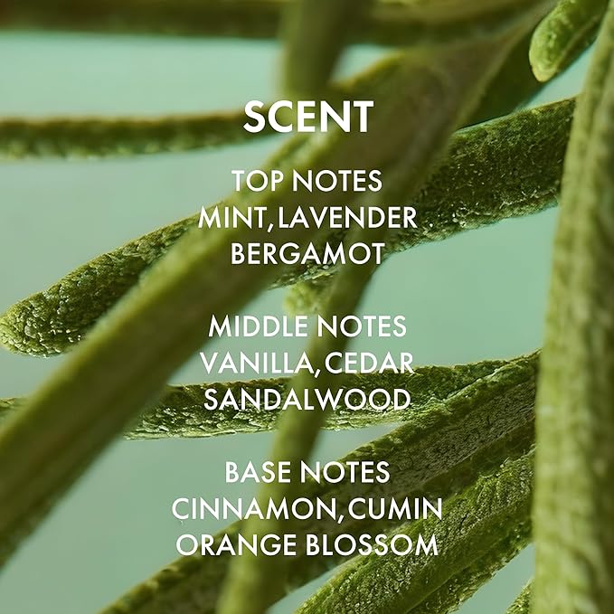 ALFHEIM Rosemary+ Purifying Shampoo for Oily & Fine Hair with Rosemary, Peppermint & Jojoba Oils – Travel Size – Deep Cleanse, Balance & Refresh – Vegan, Sulfate-Free, Cruelty-Free – 10.7 oz / 316 ml