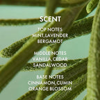 ALFHEIM Rosemary+ Purifying Shampoo for Oily & Fine Hair with Rosemary, Peppermint & Jojoba Oils – Travel Size – Deep Cleanse, Balance & Refresh – Vegan, Sulfate-Free, Cruelty-Free – 10.7 oz / 316 ml