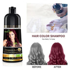 Herbishh Burgundy 3-In-1 Hair Color Shampoo for Gray Hair Magic Hair Dye Shampoo Colors Hair in MinutesLong Lasting500 MlAmmonia-Free