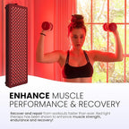 Hooga Red Light Therapyfor Face & Body, 60 LEDs, 660nm Red 850nm Near Infrared with Timer for Pain Relief, Skin Health, Anti-Aging, Sleep, Energy & Recovery, Includes Hanging Kit & Handle - HG300