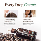 Kreyol Essence - 2 Oz Original Haitian Black Castor Oil, Glass Bottle - Thicker Brows & Longer Eyelashes, Paraben Free, Natural Ingredients