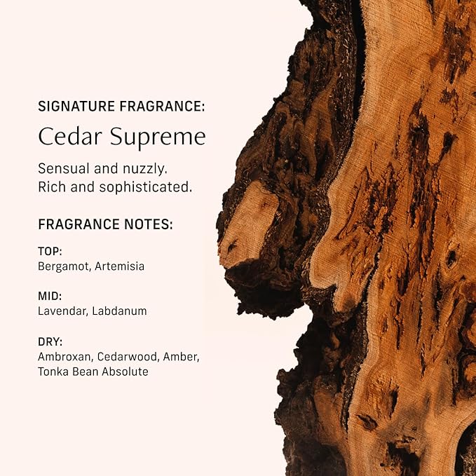 CYKLAR Perfume Oil Roll-On. Travel-Friendly Cedar Supreme Fragrance with Bergamot, Lavender, and Cedarwood. Long-Lasting Essential Oil Parfum for Women and Men. 0.5 Fl Oz Scented Rollerball Bottle