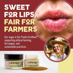Eco Lips LIP SUGAR SCRUB 2 Pack (2-0.5oz jars) 100% Organic Lip Care Treatment with Organic Sugar & Coconut Oil - Gently Exfoliate & Polish Dry, Flaky Lips, 100% Edible (Vanilla Bean & Brown Sugar)