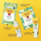 Burt's Bees Gentle Skin Care To-Go Set, Includes Cleanser, Towelettes, Lotion and Sheet Mask, Travel Size Facial Skin Care Products for Sensitive Skin, Natural Origin, 1 Gift Set