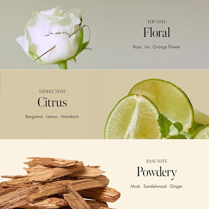 ANILLO Rosy Night Vegan Hair Perfume Long-Lasting Floral Musky Scented with Damask Rose Extract, Rosehip Oil, Peptide Complex for All Hair Type, Free of Silicone & Parabens (3.38 fl. Oz)