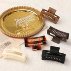 Hair Clip, 3.5 Inch Medium Hair Claw Clips 6 Pack for Women and Girls - Amber Hair Accessories