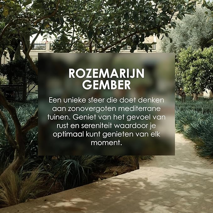 Jean & Len Shampoo Rosemary & Ginger, for dry and brittle hair, with moisturizing complex, spicy-fresh scent of rosemary & ginger, without parabens and silicones, 10.14 Fl. Oz.