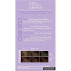 SoftSheen-Carson Dark and Lovely Fade Resist Rich Conditioning Hair Color, Permanent Hair Color, Up To 100 percent Gray Coverage, Brilliant Shine with Argan Oil and Vitamin E, Hazelnut, 2 Count