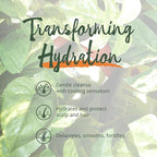 Hair Gro Rosemary Mint Shampoo & Conditioner Set - Jamaican Black Castor Oil Blend. Gently Cleanse, Moisturize, Refresh Scalp & Repair Damaged Hair. Organic Formula Nourish, Soften, Strengthen Hair