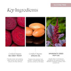 Intelligent Nutrients Amplifi-hair Volumizing Conditioner, Weightless Hydration and Detangling for Fine Hair, Vegan Conditioning Formula, 8 Oz