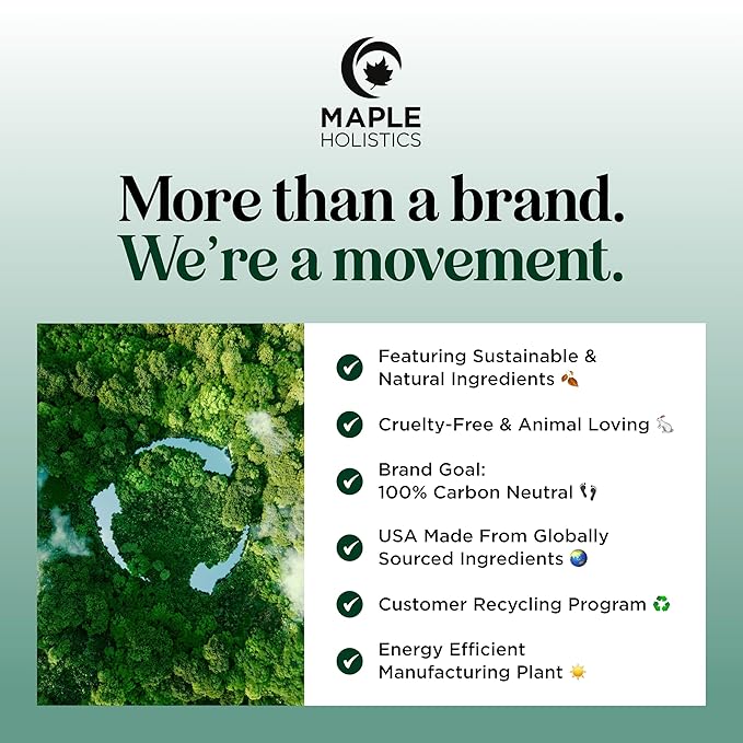 Volumizing Biotin and Rosemary Shampoo - Vegan Rosemary Biotin Shampoo for Thinning Hair for Women and Men with Nourishing B Vitamins & Tea Tree Oil - Paraben Silicone & Sulfate Free (16 Fl Oz)