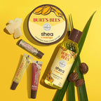 Burt's Bees Shea + Aloe Lip Balm Stocking Stuffers Christmas Gifts, Antioxidant Vitamin Rich Formula Locks in Moisture for Instant Hydration, Natural Smoothing Lip Treatment for After Sun Care(4-Pack)