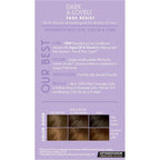 SoftSheen-Carson Dark and Lovely Fade Resist Rich Conditioning Color, Sunkissed Brown 377