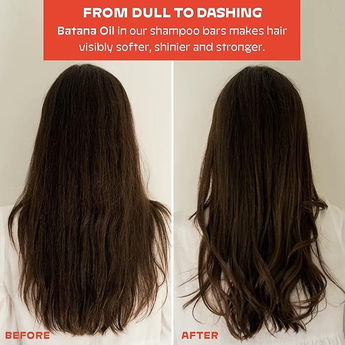 NOLE CARE Sustainable Bar Shampoo with Chamomile & Batana Oil, for Blonde Hair (3 oz) - PH Balanced, Rice Protein Based Shampoo, Sulfate-Free, Plastic-Free