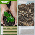 200 PCS 6 Inch Extra Long Cotton Swabs with Wooden Handles - Long Stem Cotton Swabs Tipped Applicator Tool for Makeup, Eye Ear Eyeshadow Removal, Jewelry Cleaning, Personal & Pets Care