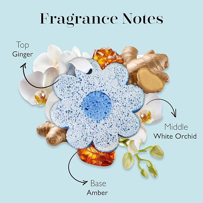 Spongellé White Ginger Hawaiian Buffer | Body Wash Infused Sponge with Awapuhi & Kukui Nut Oil | Exfoliates & Hydrates | 14+ Uses