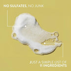 Native Coconut & Turmeric Shampoo and Conditioner Contain Naturally Derived Ingredients | All Hair Types, Color & Treated, Fine to Dry Damaged, Sulfate & Dye Free - 2-Pack