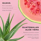 Ceremonia Guava Protect & Repair Conditioner with Aloe Vera for Damaged and Color Treated Hair 8.45 Fl Oz | 250 mL