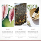 Annmarie Skin Care Anti-Aging Eye Cream - With Antioxidant-Rich Green Tea, Eyebright & Cucumber Extract, Soothing for Puffiness, Fine Lines and Wrinkles, All Skin Types (15ml, 0.5 fl oz)