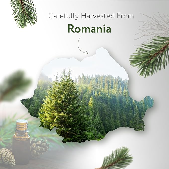 HBNO California Bottled Pine Needle Essential Oil 4 fl oz (120ml) - Natural Pine Needle Oil - Perfect for Cleaning, Aromatherapy, DIY, Soap & Diffuser