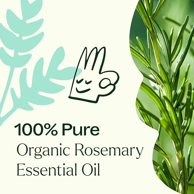 Plant Therapy Organic Rosemary Essential Oil 100% Pure, USDA Certified Organic, Undiluted, Natural Aromatherapy, Therapeutic Grade 10 mL (1/3 oz)