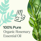 Plant Therapy Organic Rosemary Essential Oil 100% Pure, USDA Certified Organic, Undiluted, Natural Aromatherapy, Therapeutic Grade 10 mL (1/3 oz)