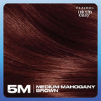 Clairol Nice'n Easy Permanent Hair Dye, 5M Medium Mahogany Brown Hair Color, Pack of 3