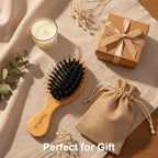 Boar Bristle Hair Brush Mini Travel Size, TWPER Bamboo Nylon Small Detangling Brush for Women Men Kids, Scalp Massage Portable Hair Care Tool Gift