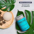 Terra Pure White Tea & Coconut Shampoo, Travel Size Hotel Amenities, 1 oz. (Case of 100)