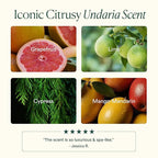 OSEA Undaria Algae™ Body Lotion 5 oz - Ultra-Hydrating & Lightweight Body Lotion - Firms Skin in 4 Hours - Packed with Undaria Seaweed & Hyaluronic Acid - for Dry, Normal, & Combination Skin