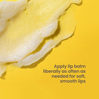 Burt's Bees Shea + Aloe Lip Balm Stocking Stuffers Christmas Gifts, Antioxidant Vitamin Rich Formula Locks in Moisture for Instant Hydration, Natural Smoothing Lip Treatment for After Sun Care(4-Pack)