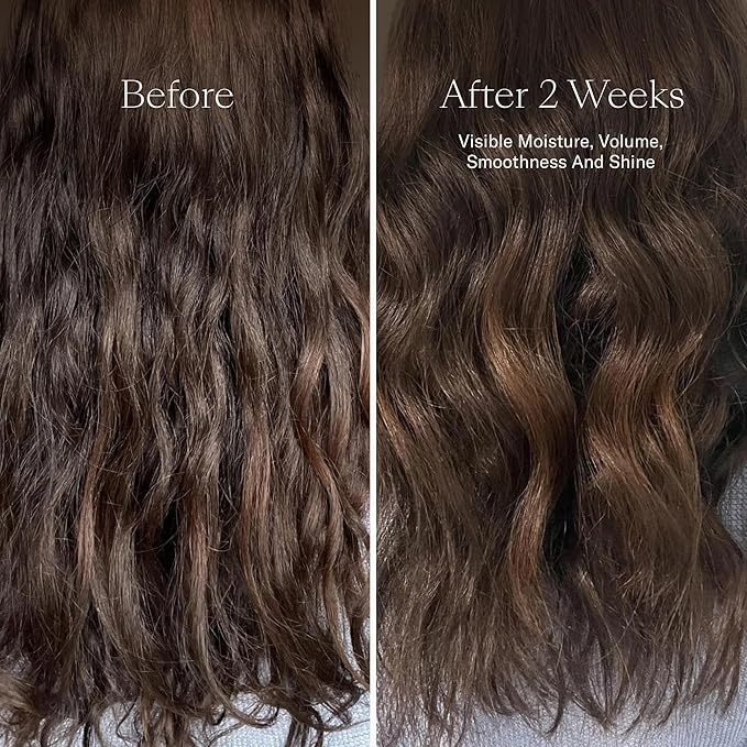 Josie Maran Love is in the Hair Kit - Includes Argan Moisture Plump Hair Shampoo & Conditioner Butter - Hydrating & Volumizing - Strengthens & Repairs Strands - Citrus Vanilla (2 Piece Set)