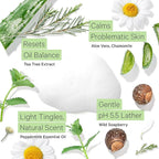 Tree to Tub Sensitive Skin Face Wash for Oily or Combination Skin - Gentle Tea Tree Face Cleanser for Women & Men, Oil Free Daily Foaming Facial Cleanser w/Organic Aloe Vera, All Natural Peppermint