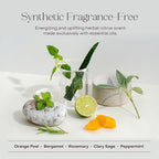 Everist The Haircare Essentials Duo, Shampoo & Deep Conditioner, Repairs Hair, Ideal for Sensitive Scalp, Hydrating and Smoothing, Plant-based, Color-safe, 3.4 fl oz Each, Tins