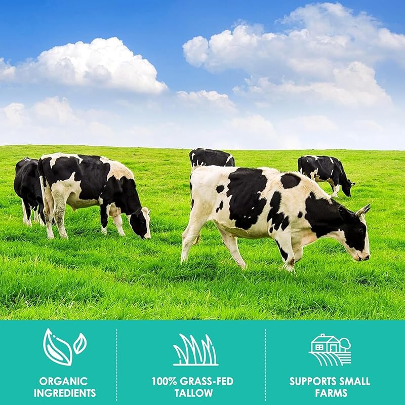 Beef Tallow Balm for Skin Care - All Natural Moisturizing Body Oil with Honey and Beeswax - Tallow from Grass-Fed Cows – Beef Tallow Moisturizer,-Made in USA (2.0 Oz)