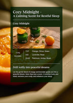 Braid Rev Scalp Sleeping Oil Balm, Korean Scalp Treatment, Balm-to-Oil Formula, Nourishing for Dry Scalp with Coconut Oil & Shea Butter, Reduces Excess Oil & Strengthens Hair Roots, 2.65 oz