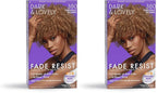 SoftSheen-Carson Dark and Lovely Fade Resist Rich Conditioning Color, Chestnut Blonde 380 (Pack of 2)
